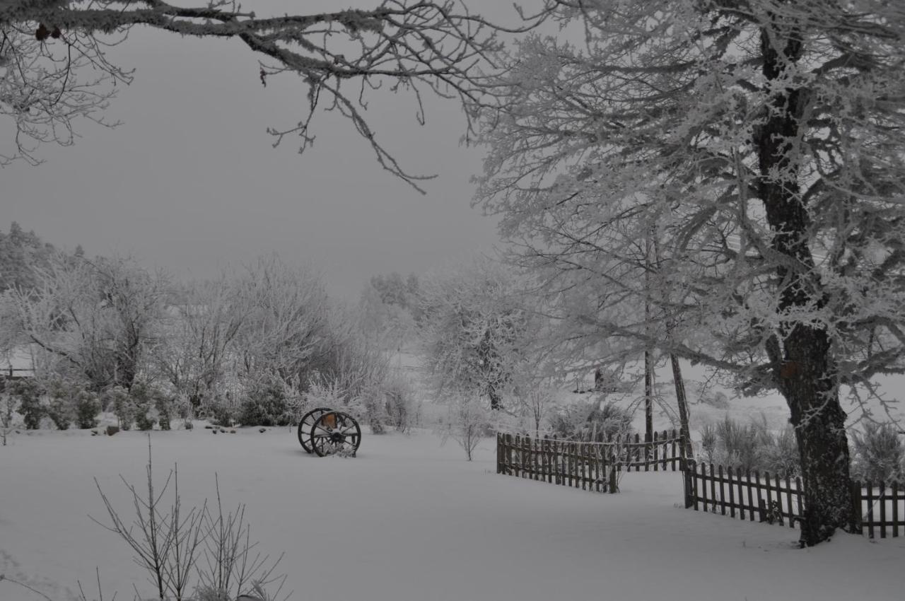 Devesset Manoir Du Grail Bed & Breakfast エクステリア 写真