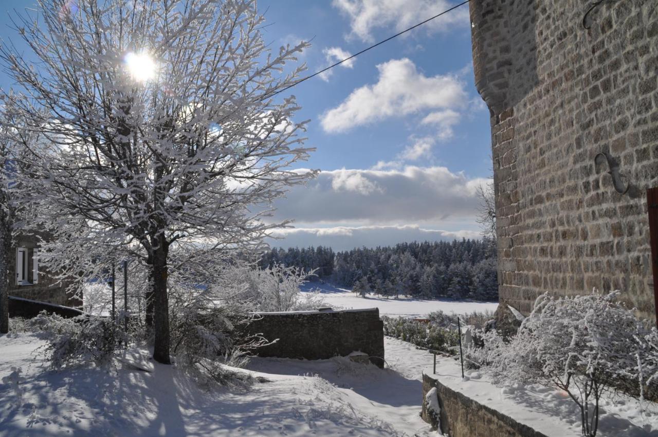 Devesset Manoir Du Grail Bed & Breakfast エクステリア 写真