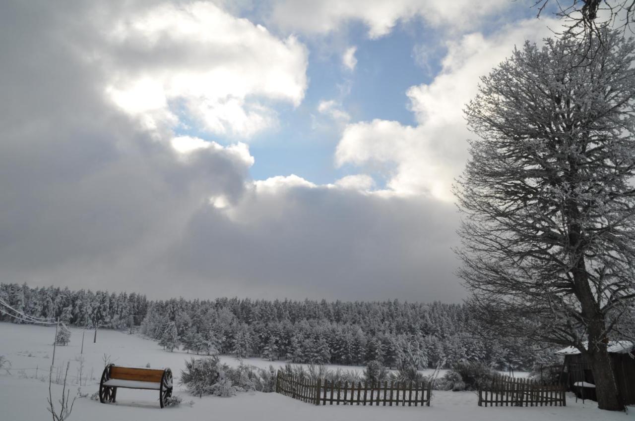 Devesset Manoir Du Grail Bed & Breakfast エクステリア 写真